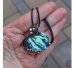 Abalone mušle
