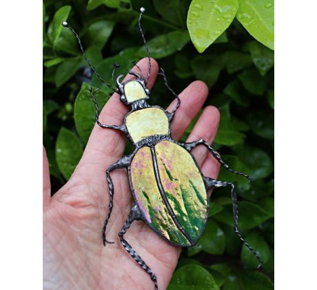 Střevlík zlatolesklý