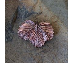 Brož z lesní jahůdky